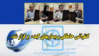 کنفرانس حاملگی و بیماریهای کبد برگزار شد 